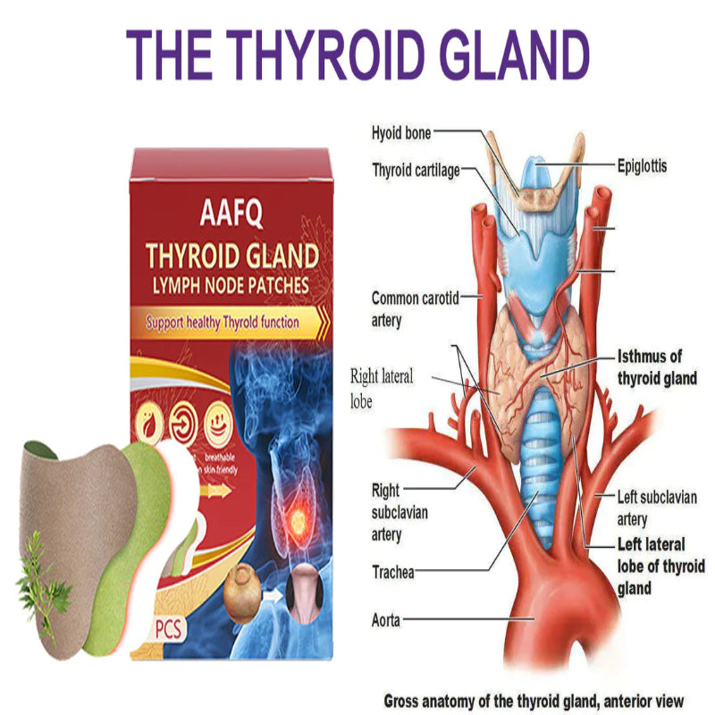 AAFQ™ Thyroid Gland Lymph Nodes Patches