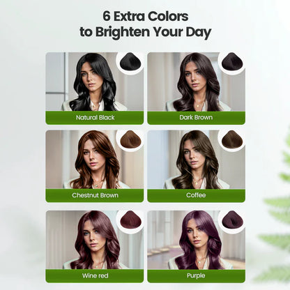 6-in-1 pure herbal essense hair dye shampoo (10 Packs)