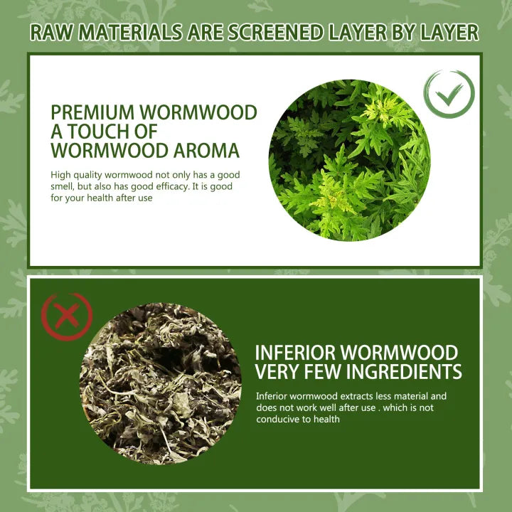 South Moon Wormwood Detox Foot Pads ( BUY 1 GET 1 FREE )
