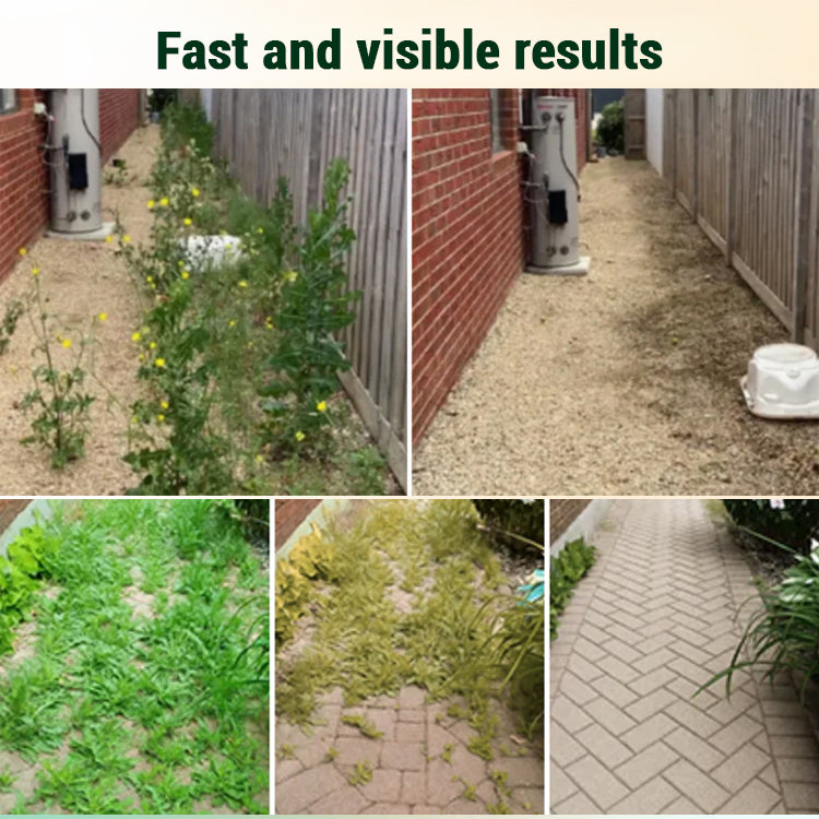 2 In 1 Max Power Herbicide ( BUY 1 GET 1 FREE )